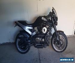 Buell x1 1200 for Sale