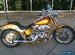 2007 Harley-Davidson Softail for Sale