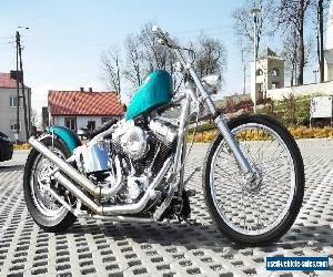 2004 Harley-Davidson Softail