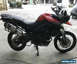 TRIUMPH TIGER 800XC 800 XC 06/2001 MODEL  PROJECT MAKE AN OFFER for Sale
