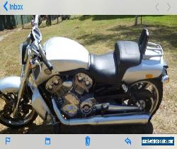 2009 Harley Davidson V Rod Muscle for Sale