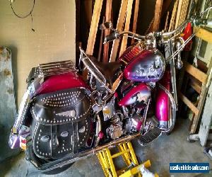 1993 Harley-Davidson Softail for Sale