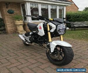 Honda grom / msx125  125cc modified