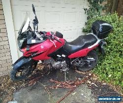 2004 Suzuki V-Strom DL650 for Sale