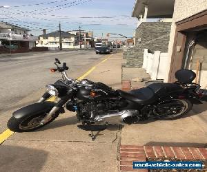 2010 Harley-Davidson Softail