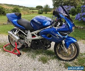 Suzuki TL1000 S V-twin