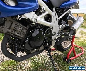 Suzuki TL1000 S V-twin