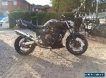 SUZUKI GSF 650 BANDIT 1250 REAR CUSTOM STREETFIGHTER A2 K8  for Sale