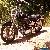 1977 Harley-Davidson Other for Sale