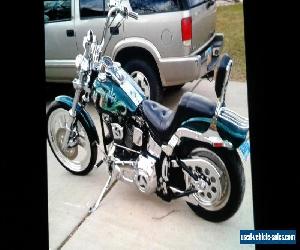 1989 Harley-Davidson Softail