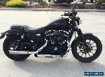 HARLEY DAVIDSON XL883 SPORTY 09/2010MDL 13300KMS REG CLEAR TITLE  MAKE AN OFFER for Sale