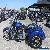 2015 Harley-Davidson Freewheeler Trike - FLRT for Sale