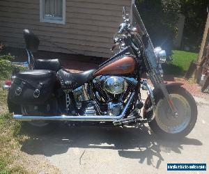 2000 Harley-Davidson Softail