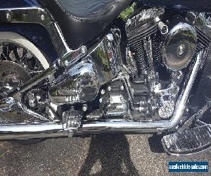 2014 Harley-Davidson Softail