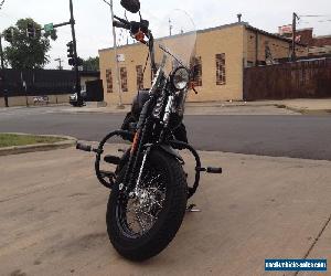 2009 Harley-Davidson Softail