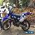 WRF 250 Motor Bike for Sale