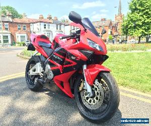 Honda cbr 600rr  for Sale