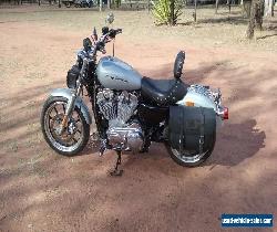 harley davidson for Sale