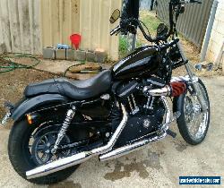 Harley Davidson 2012 sportster iron for Sale