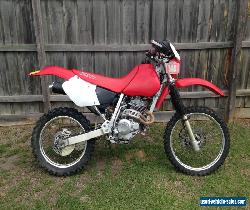 honda xr250r for Sale