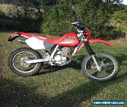 HONDA XR250 for Sale