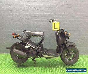 Honda Ruckus Zoomer 50