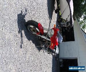 Ducati: Monster