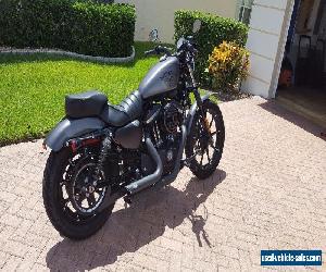 2016 Harley-Davidson Sportster for Sale