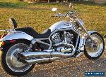 2003 Harley-Davidson V-ROD for Sale