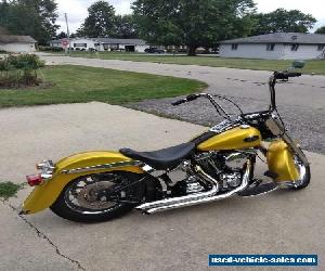 2002 Harley-Davidson Softail