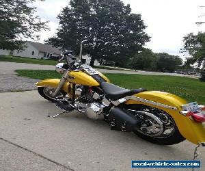 2002 Harley-Davidson Softail