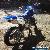 Yamaha: YZF for Sale