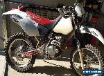 Honda XR250R for Sale