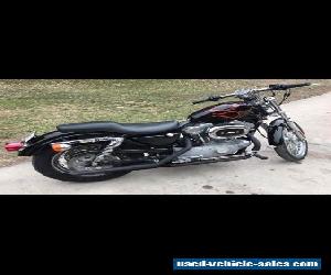 2001 Harley-Davidson Sportster