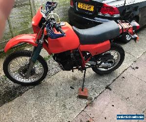 honda xl600r  barn find