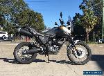 Yamaha XT660Z TENERE for Sale