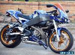 BUELL XB12R Firebolt. Custom Buell. Buell sportsbike. XB12R. Harley sportsbike for Sale