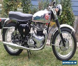 BSA: Rocket Goldstar for Sale