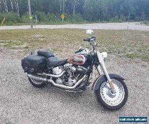 2011 Harley-Davidson Screamin Eagle