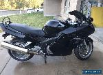 Honda CBR1100xx Blackbird for Sale