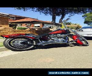 Custom softtail Harley Davidson