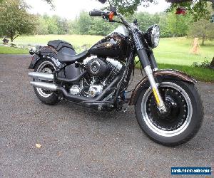 2013 Harley-Davidson Softail