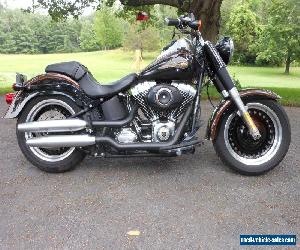 2013 Harley-Davidson Softail