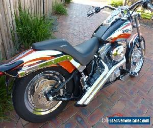 Harley Davidson Custom Softtail - Low KLMs