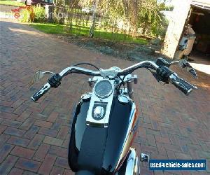 Harley Davidson Custom Softtail - Low KLMs