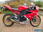 TRIUMPH 675 DAYTONA ABS 2013 AS NEW ONLY 12900KMS for Sale