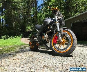 2005 Buell Lightning