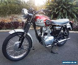 1964 Triumph T100SS for Sale