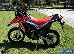 2017 Honda CRF for Sale