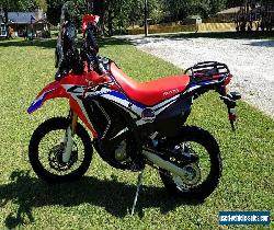 2017 Honda CRF for Sale